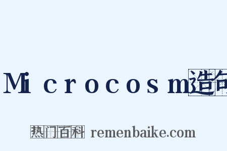 Microcosm造句是什么意思的图片